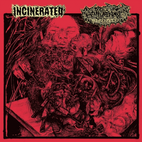 Incinerated : Incinerated - Hallucination Realized